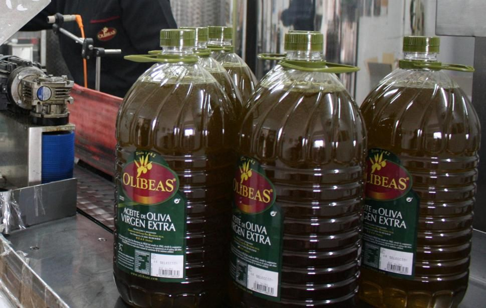 Varias garrafas de aceite de Olibeas en la línea de envasado.