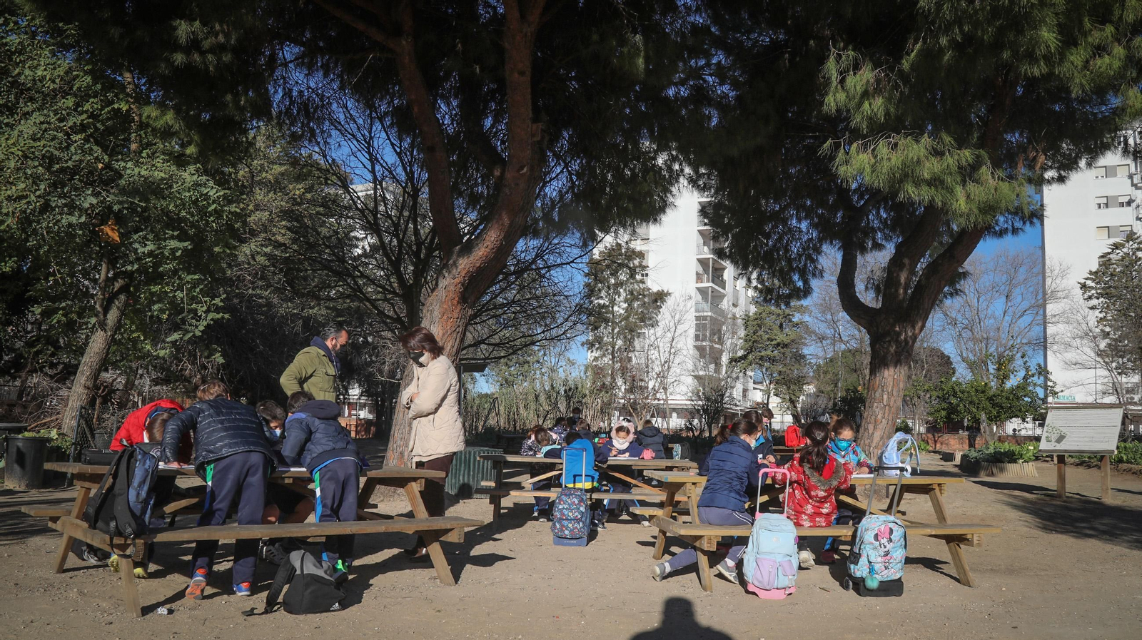 Huerto ecológico y educativo en Los Marianistas
