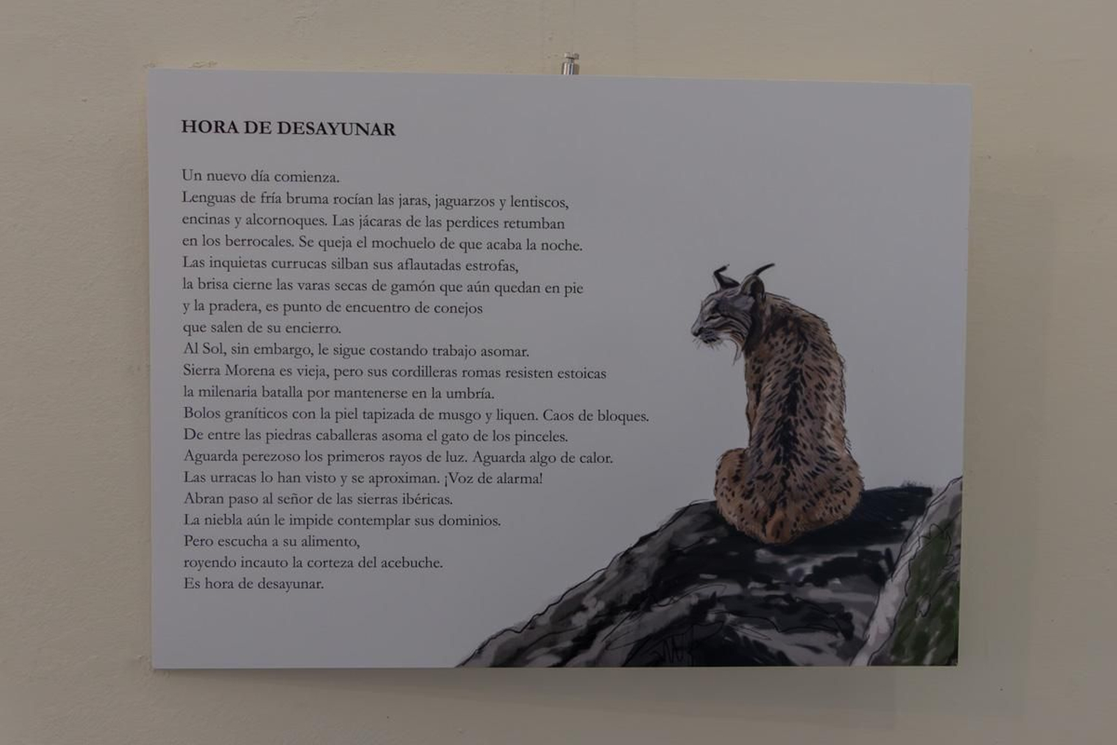 Exposición Los pinceles del lince ibérico, en imágenes