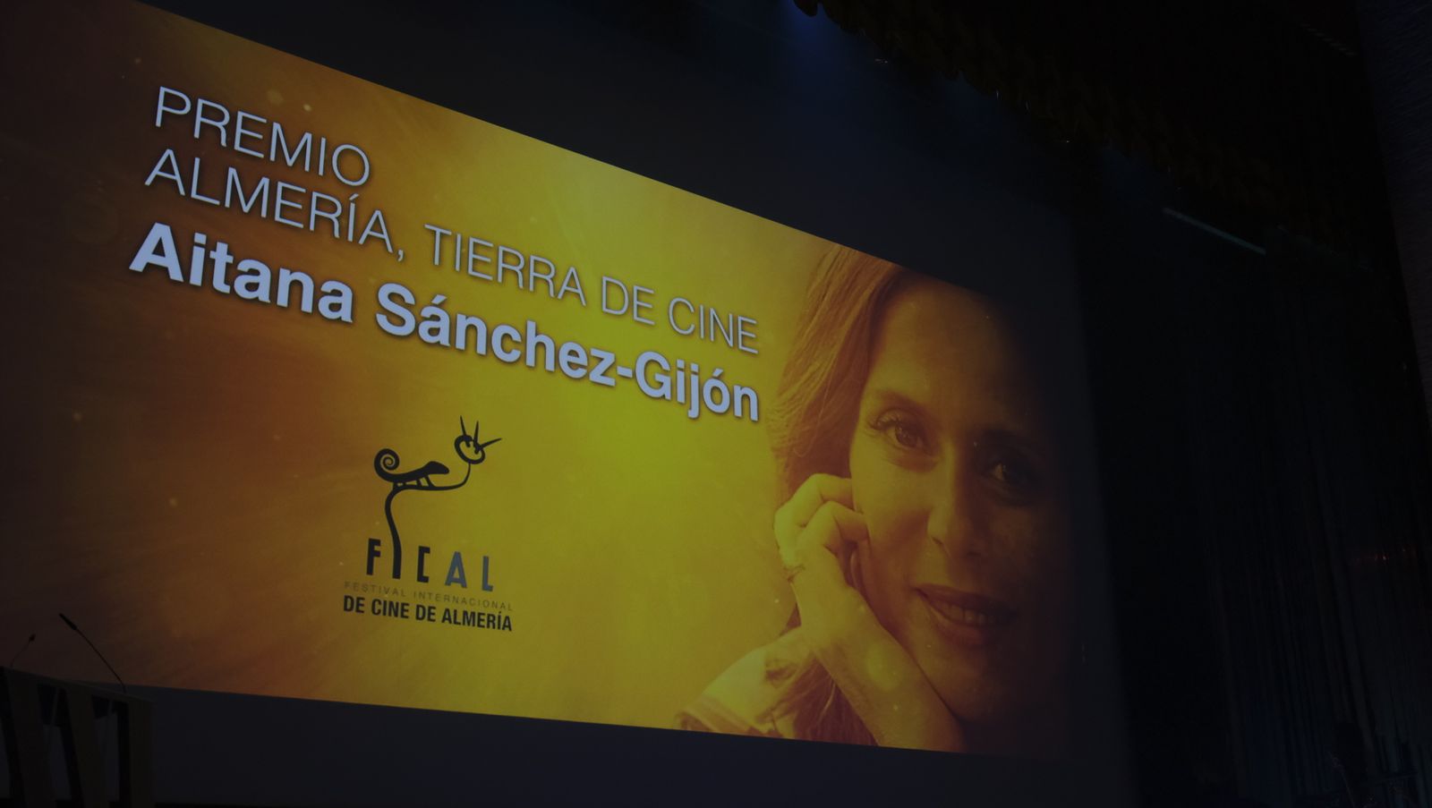 Imágenes de la Gala de Inauguración de FICAL 2020