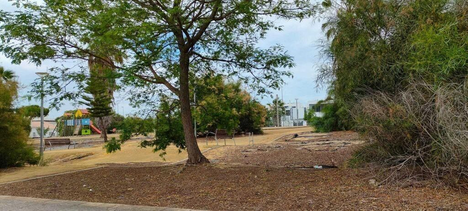 Estado de los parques de Pozoalbero.