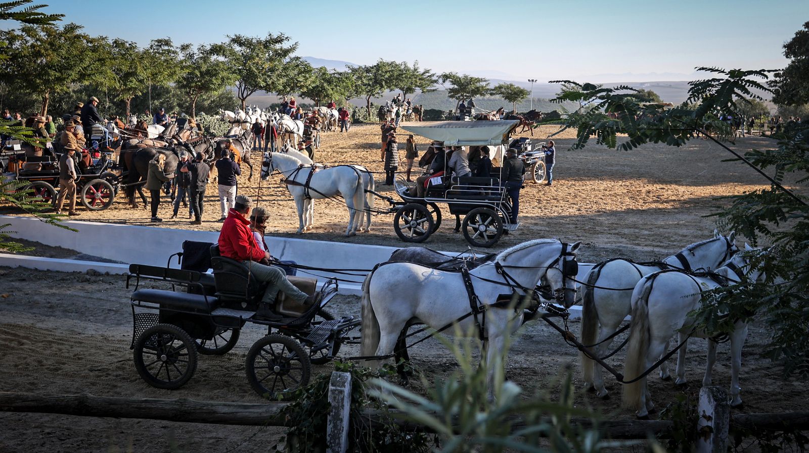 I Ruta de Carruajes Viñas de Jerez