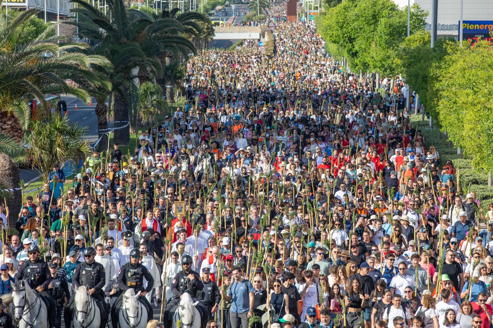 Cientos de hermandades y miles de peregrinos de todo el mundo se encaminan hacia su encuentro con la Blanca Paloma