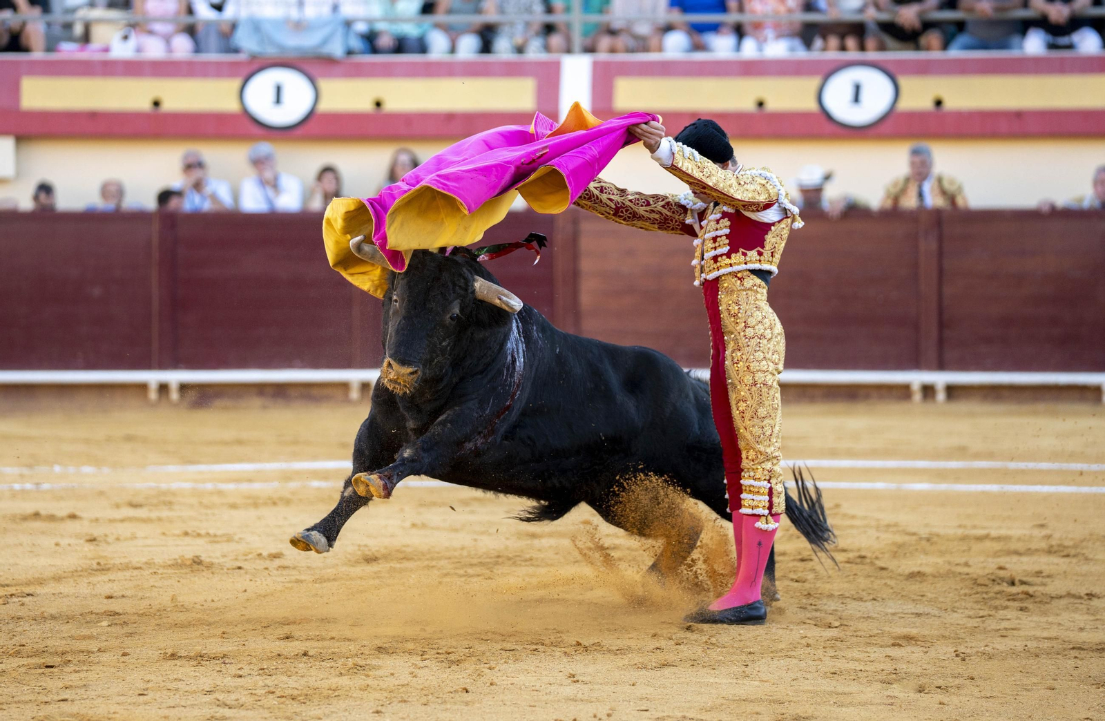 Las imágenes de los toros en Vera