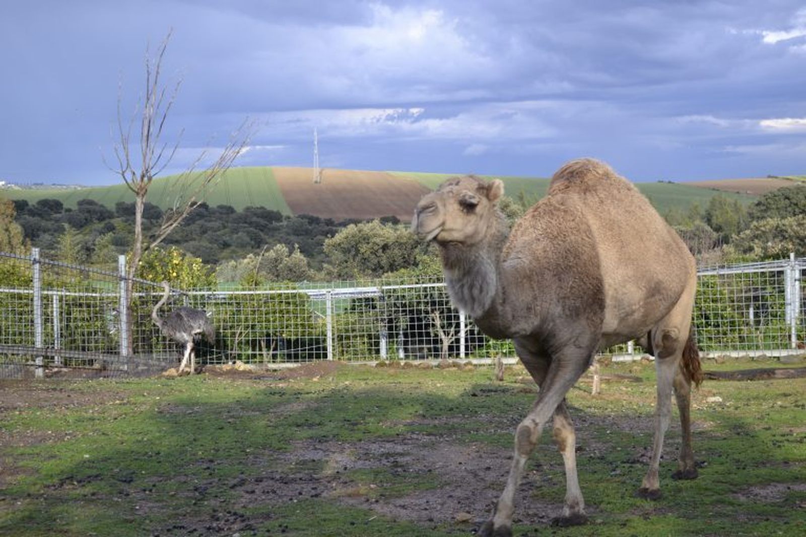 Mundo Park Zoo: La gran sabana se encuentra en Guillena
