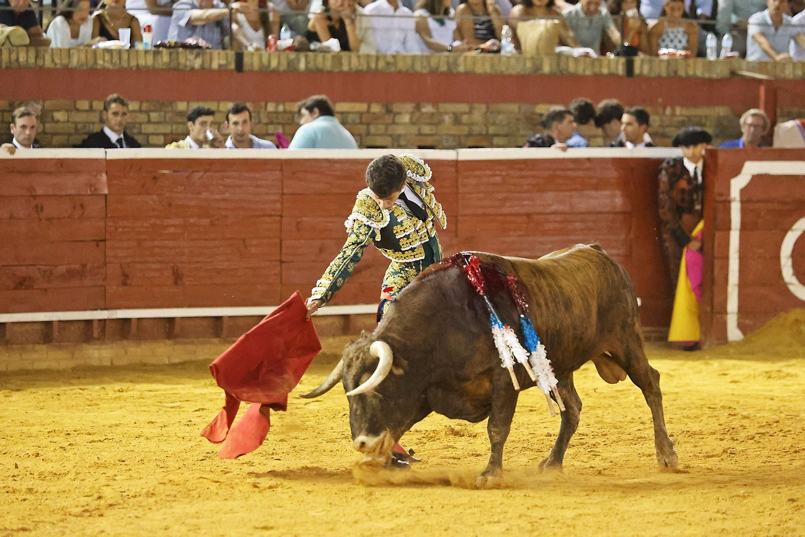 Toros La Merced 2024 Novillada con picadores(