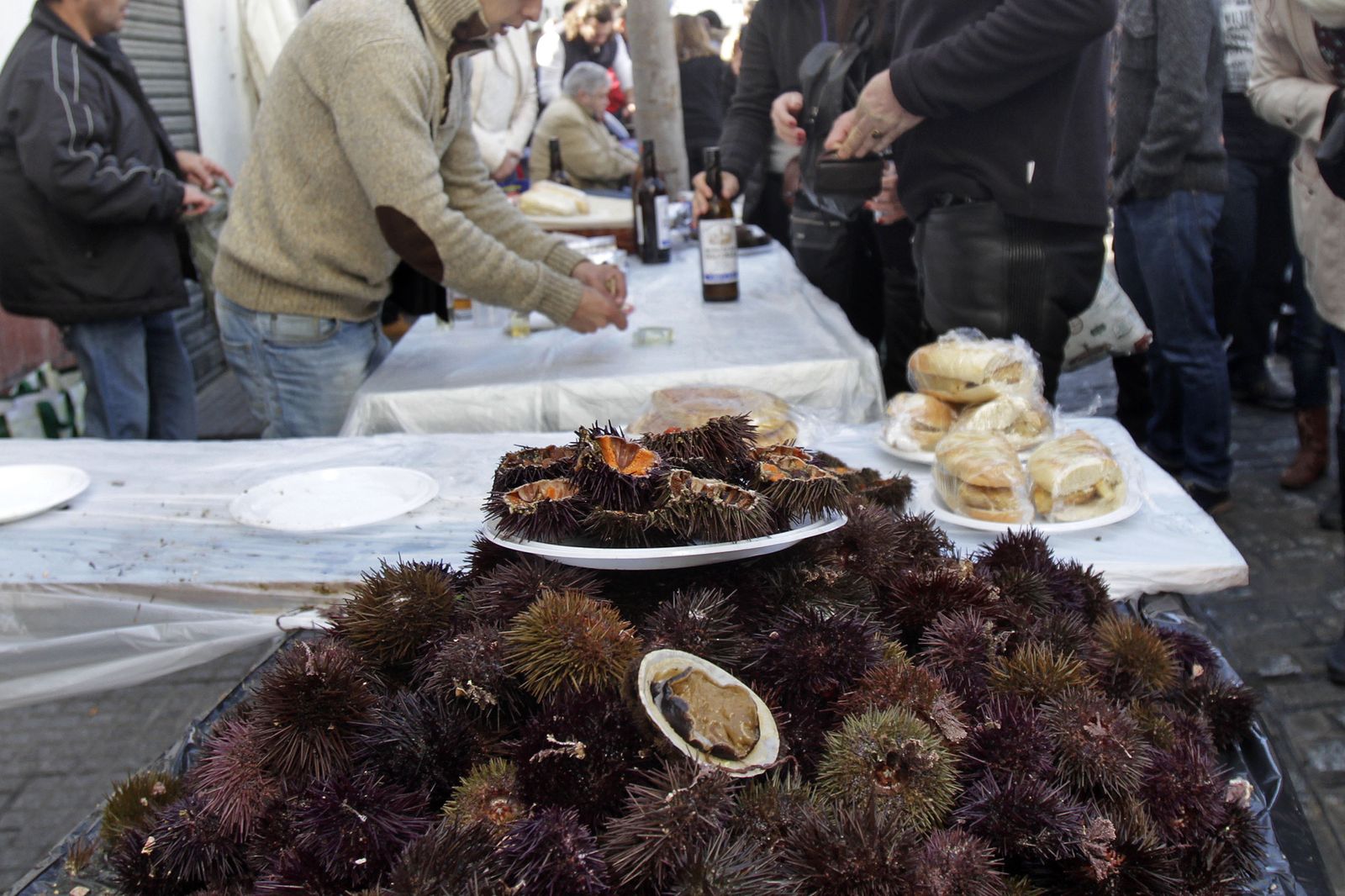 La Erizada se celebra en el barrio de la Viña