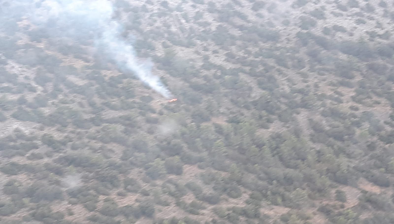 Incendio forestal en Vélez-Blanco.
