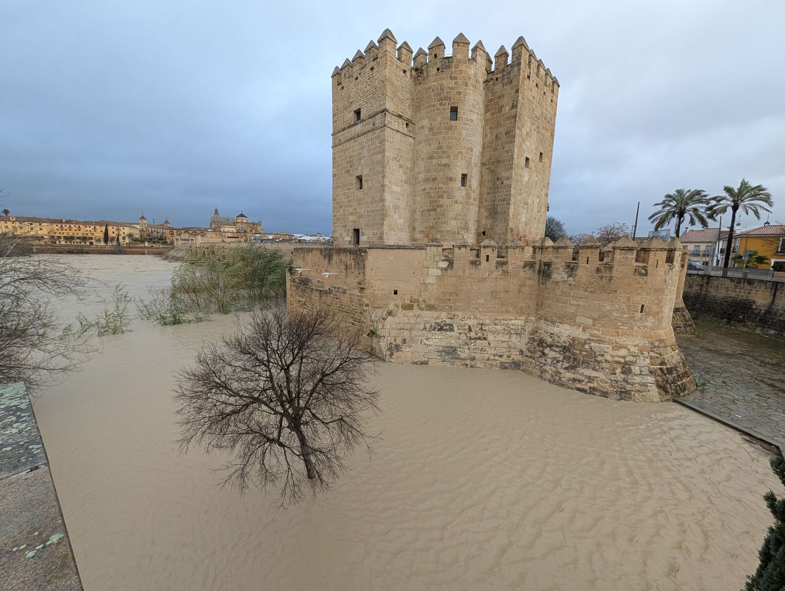 El río Guadalquivir supera los cuatro metros de altura a su paso por Córdoba, en imágenes