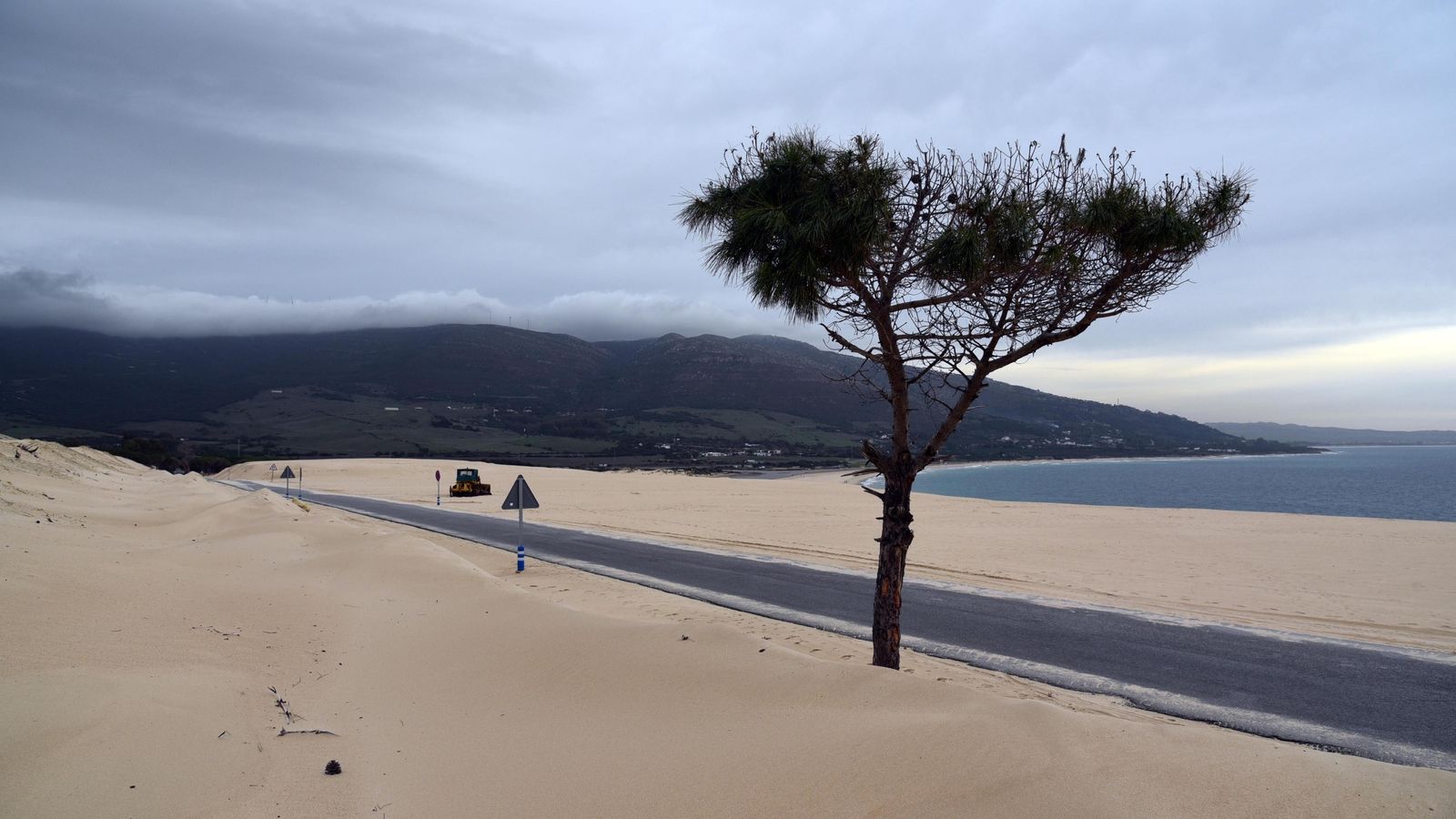 Duna de Punta Paloma.