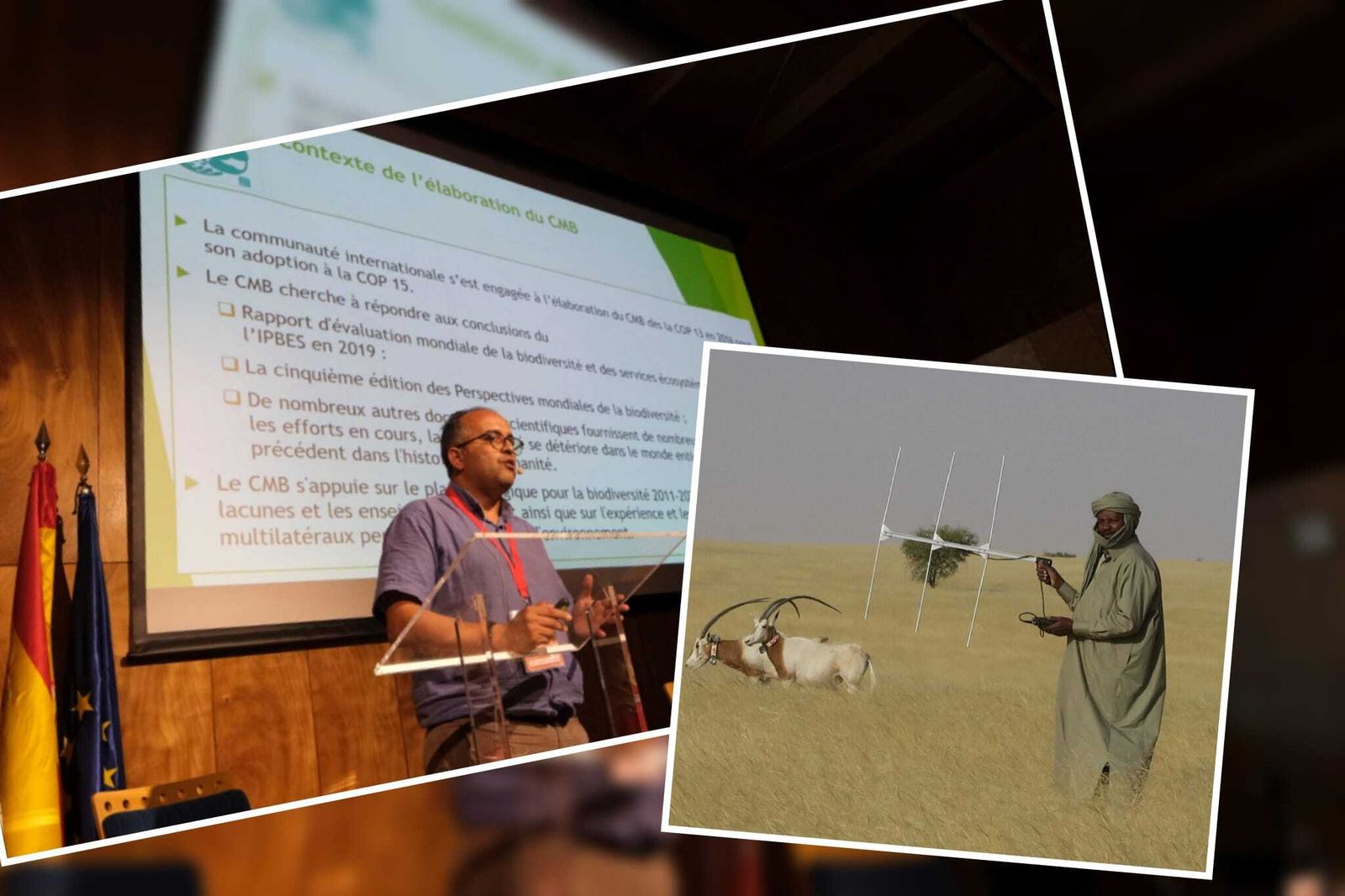 Jornadas desarrolladas en Almería capital.