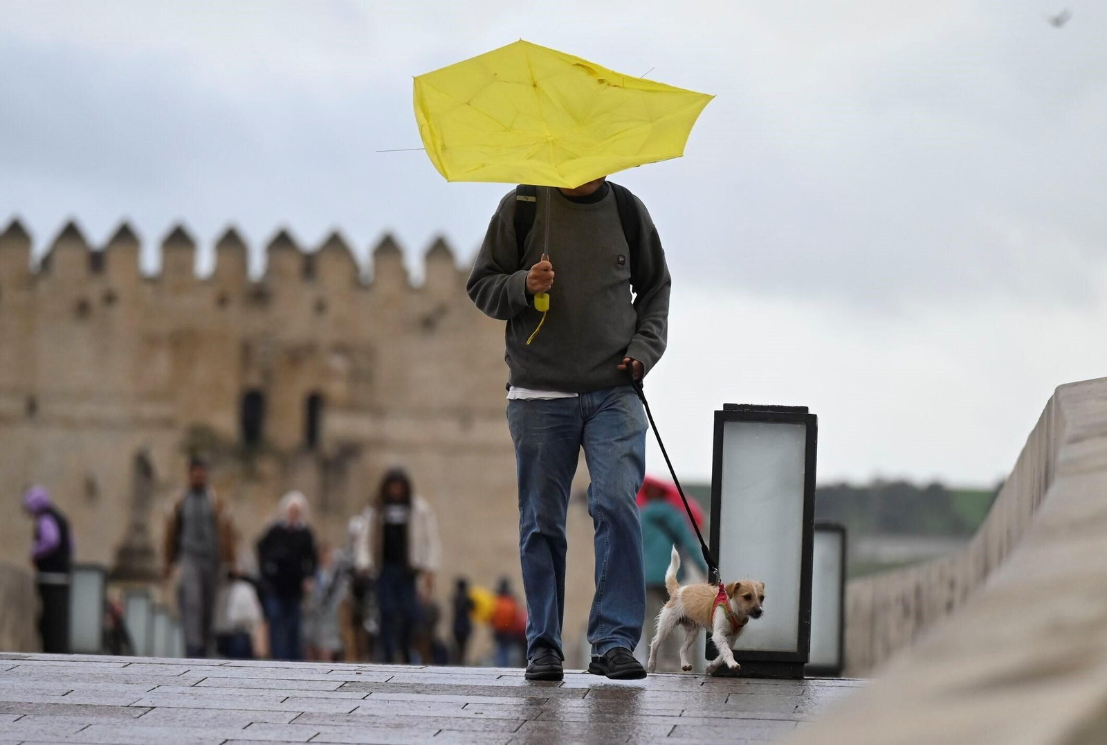 El paso por la borrasca Konrad por Córdoba, en imágenes