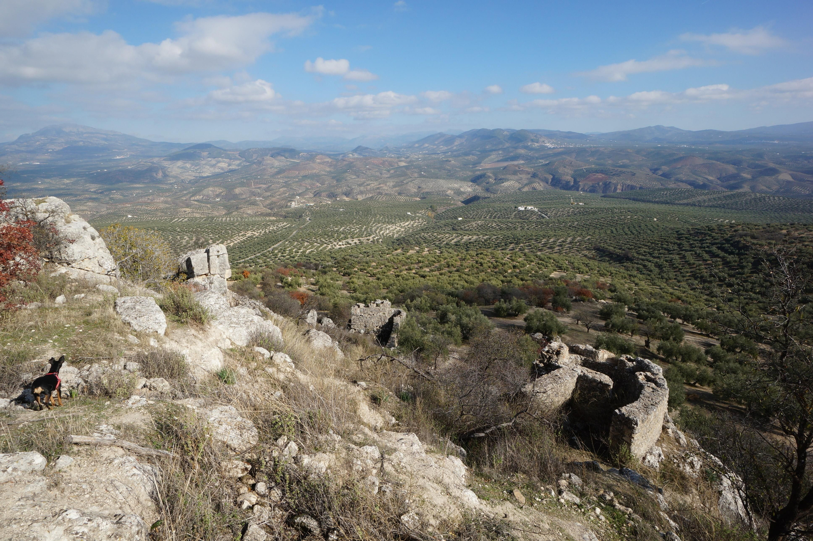 Paisaje en la ruta de los Barrancos de Fuente-Tójar.