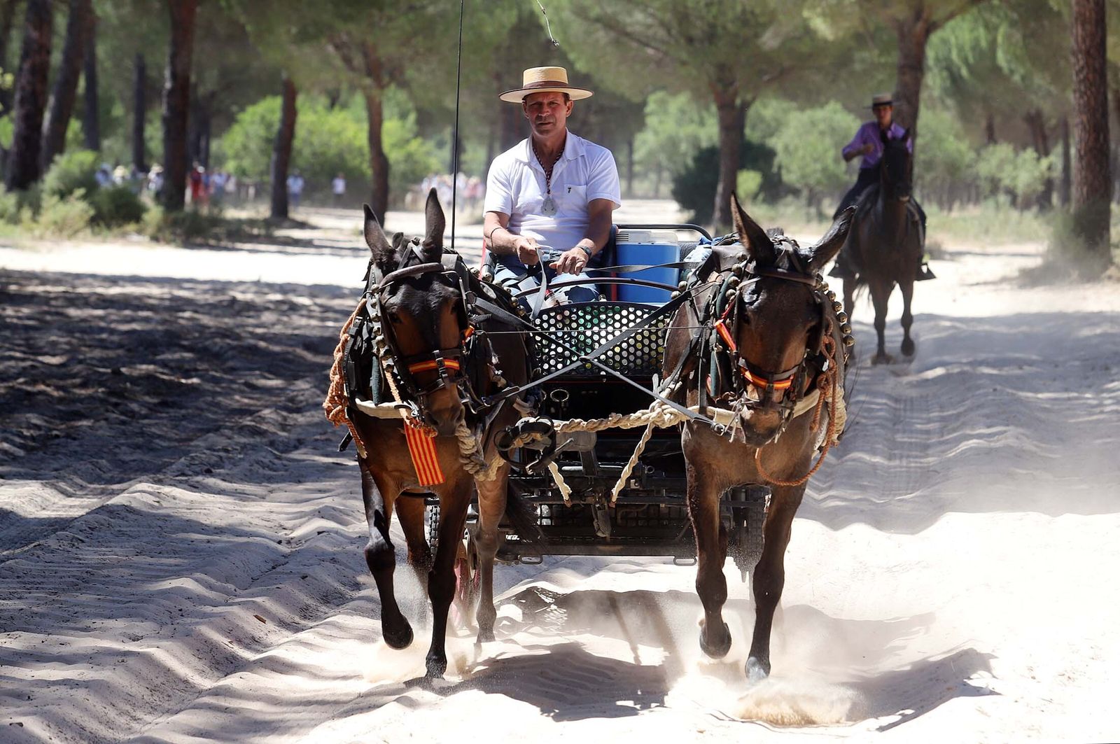 Todos los peregrinos de la Hermandad de Huelva, en imágenes