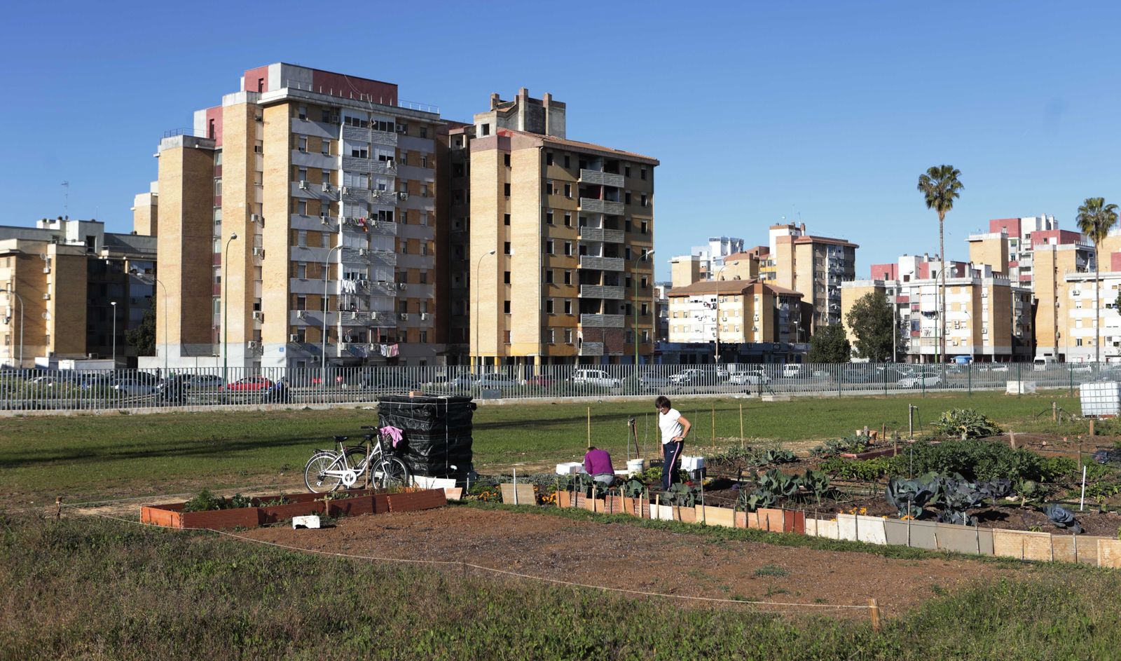 Parte de los huertos del Parque del Guadaíra, junto al Polígono Sur.