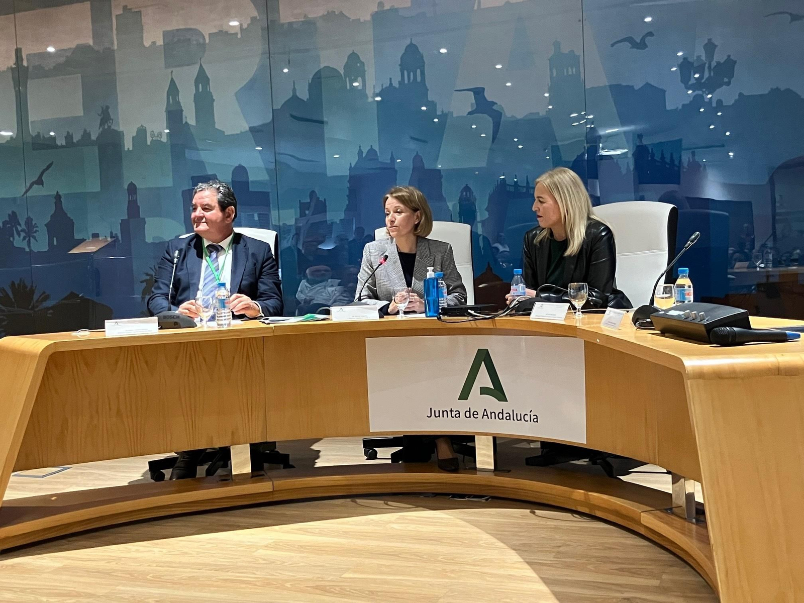 El nuevo director gerente del Puerta del Mar tomó ya posesión de su cargo en sustitución del doctor Quintero