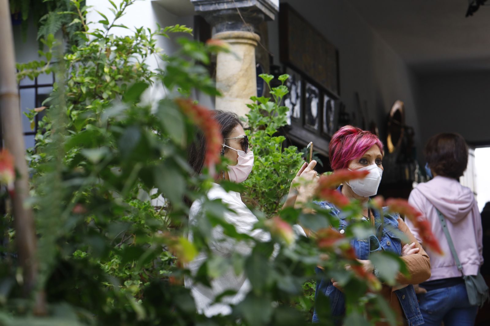 Un recorrido en fotografías por los Patios de Córdoba un domingo de otoño