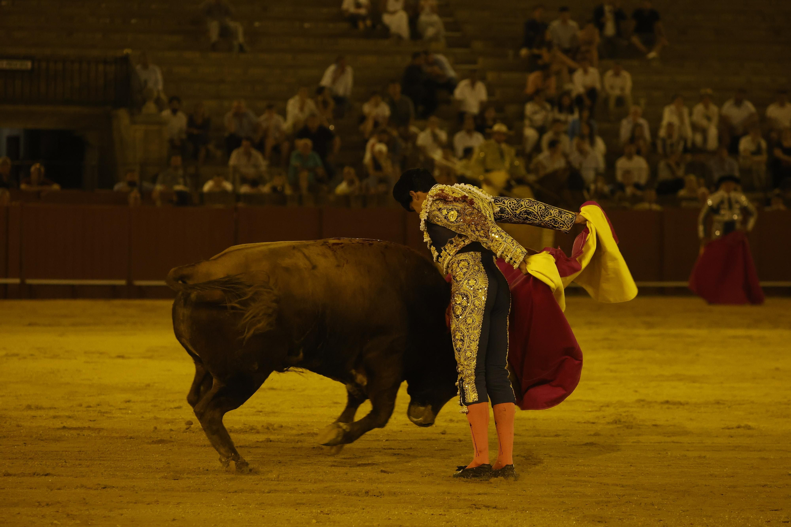 Las imágenes de la novillada en la Maestranza
