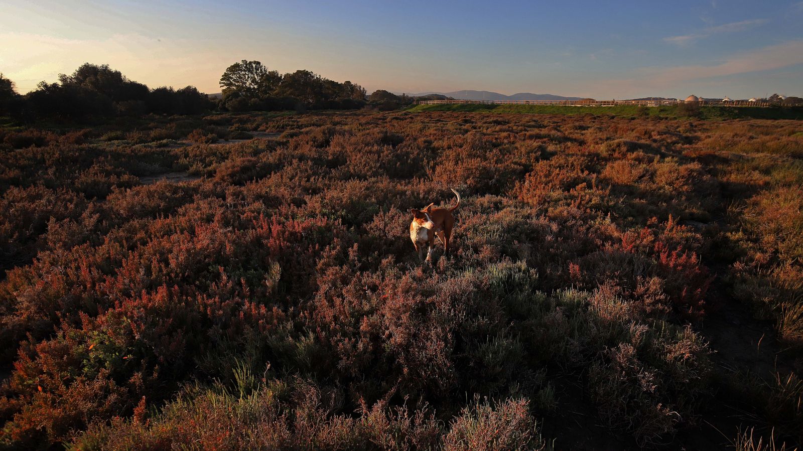 Sendero del arroyo de la Madre Vieja en San Roque