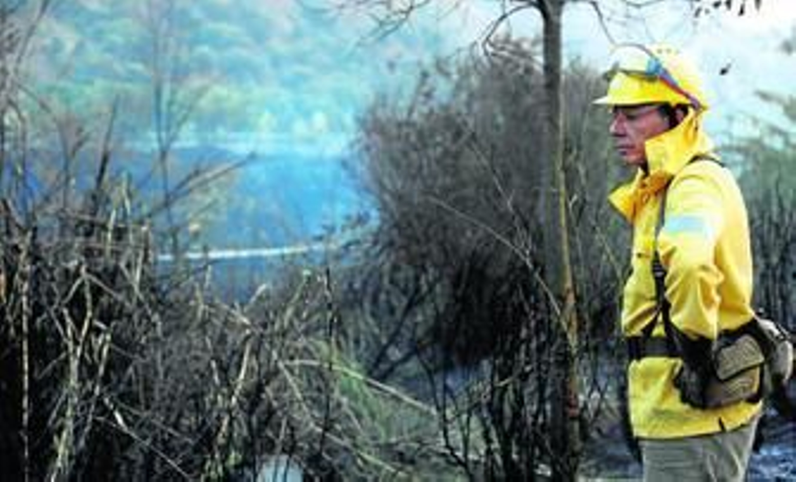 Un operario del Infoca inspecciona una zona afectada por el fuego.