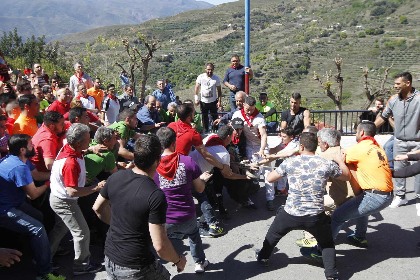 Fotogalería Tosos Ensogaos Ohanes. Fiestas San Marcos.