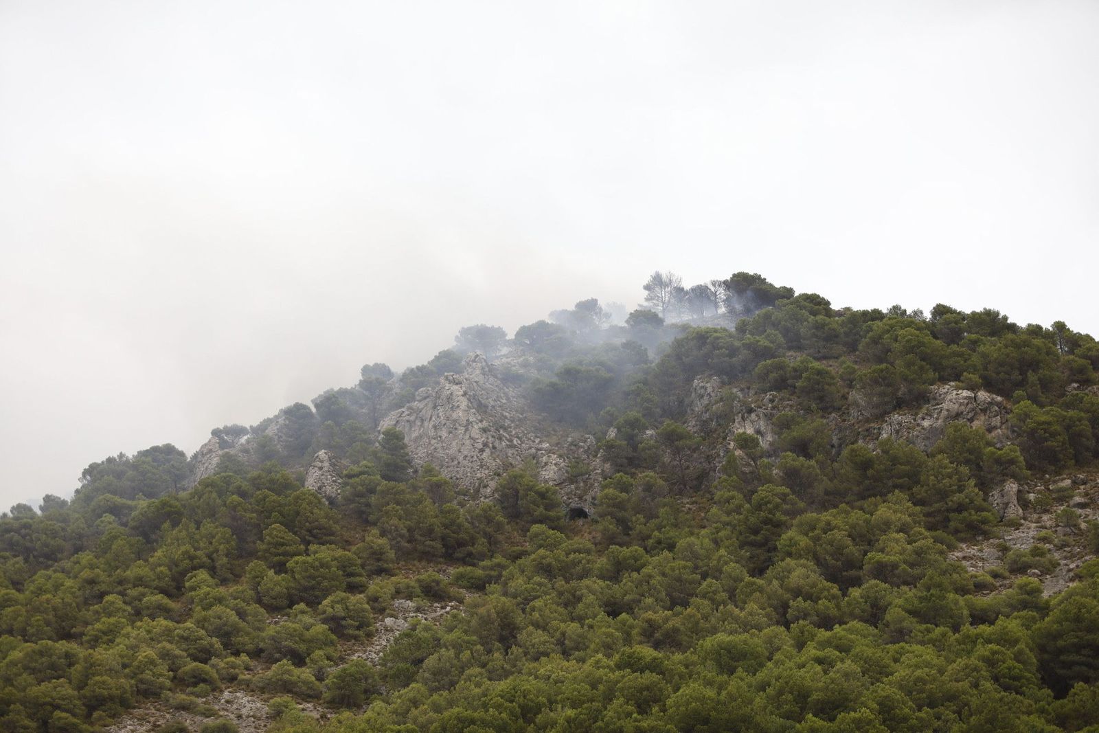 Así trabaja el Infoca en la extinción del incendio provocado por un rayo en Nívar