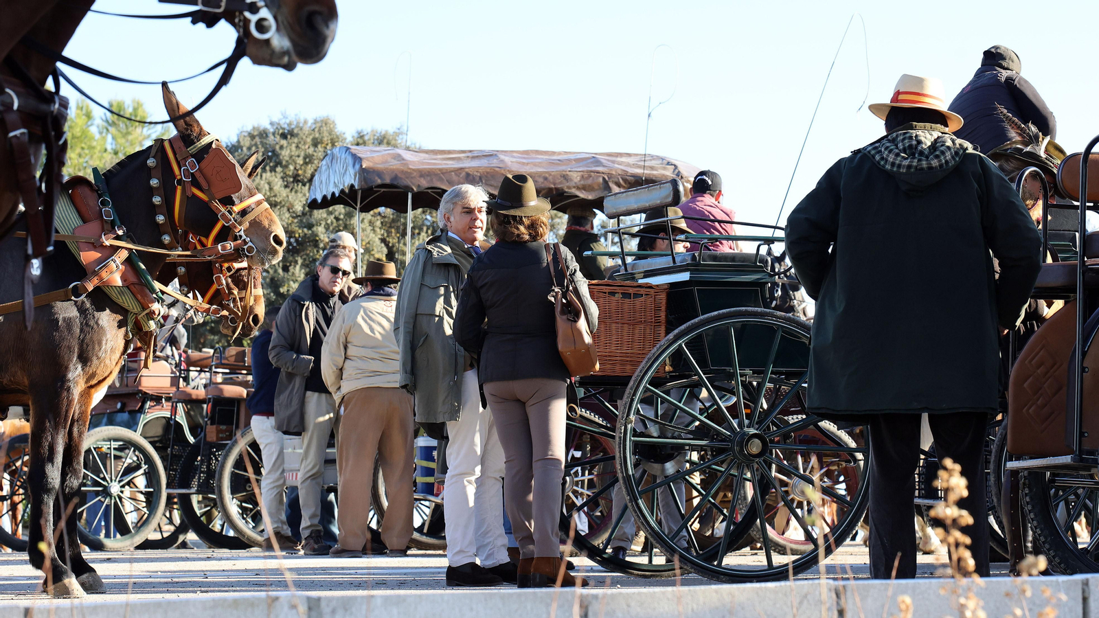 II Ruta Viñas de Jerez