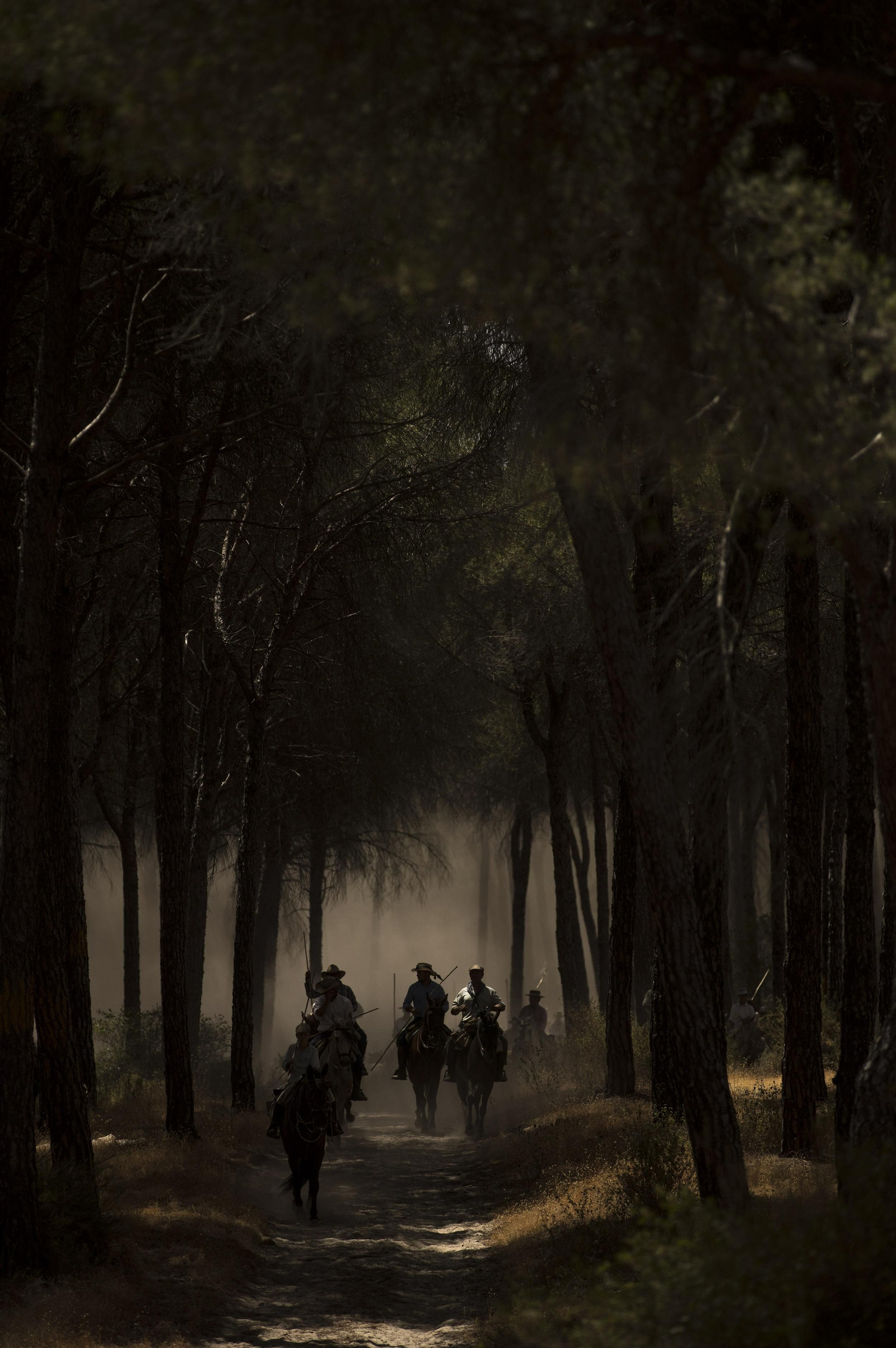 La Saca de las Yeguas, en imágenes