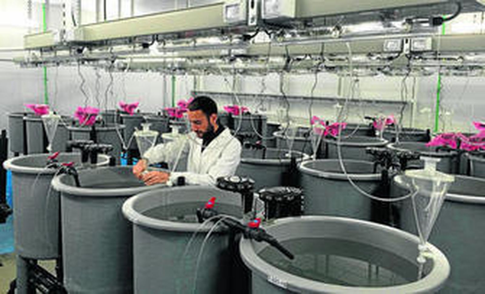 Una imagen de la nueva nave experimental del centro de investigación pesquera El Toruño.