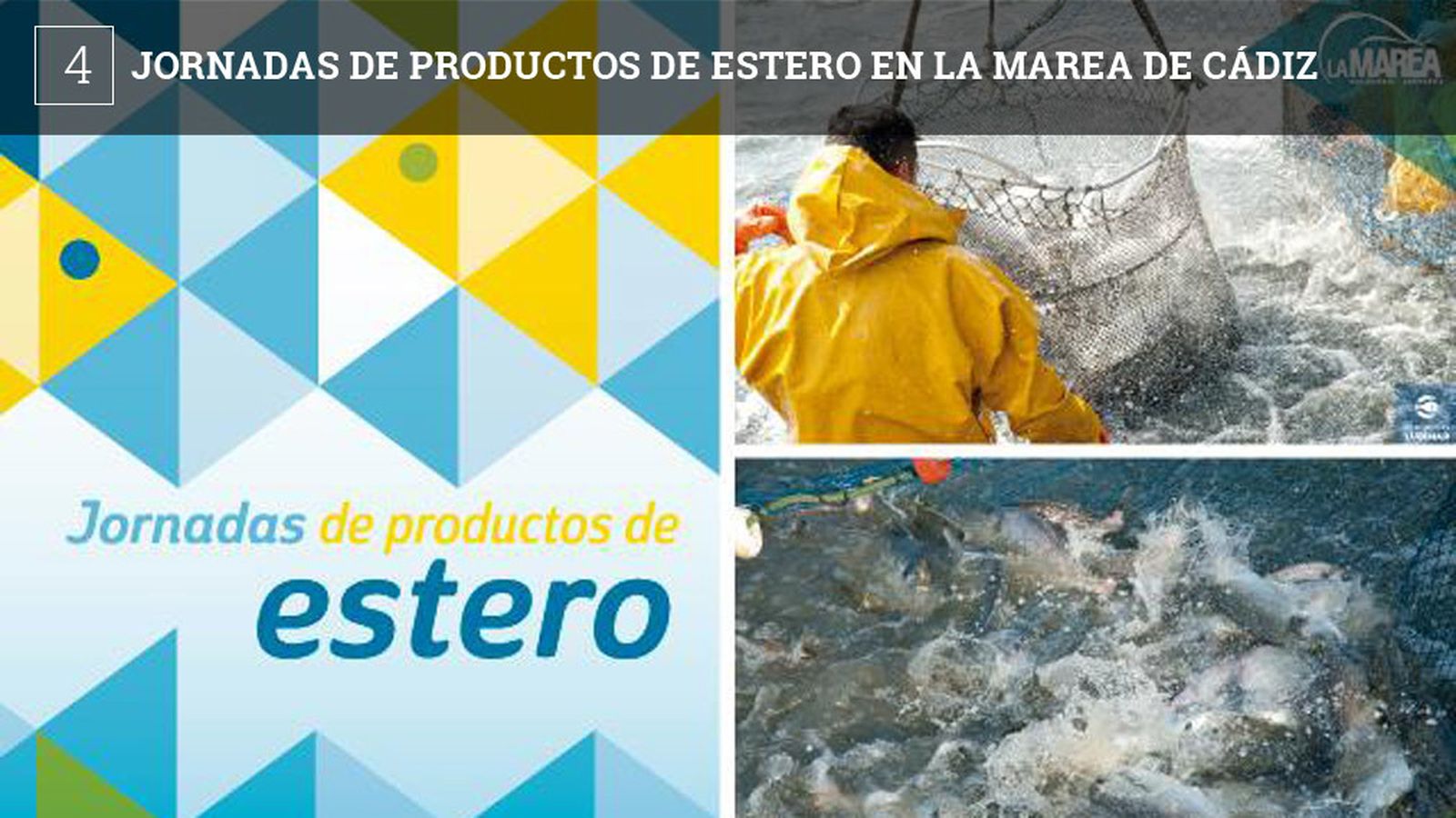 La cervecería La Marea  ha inaugurado su carta especial dedicada a la temporada del pescado de estero. Tienen en carta un total de 10 platos realizados con camarones y langostinos de estero, además de lubinas , doradas, lisas y lenguados.