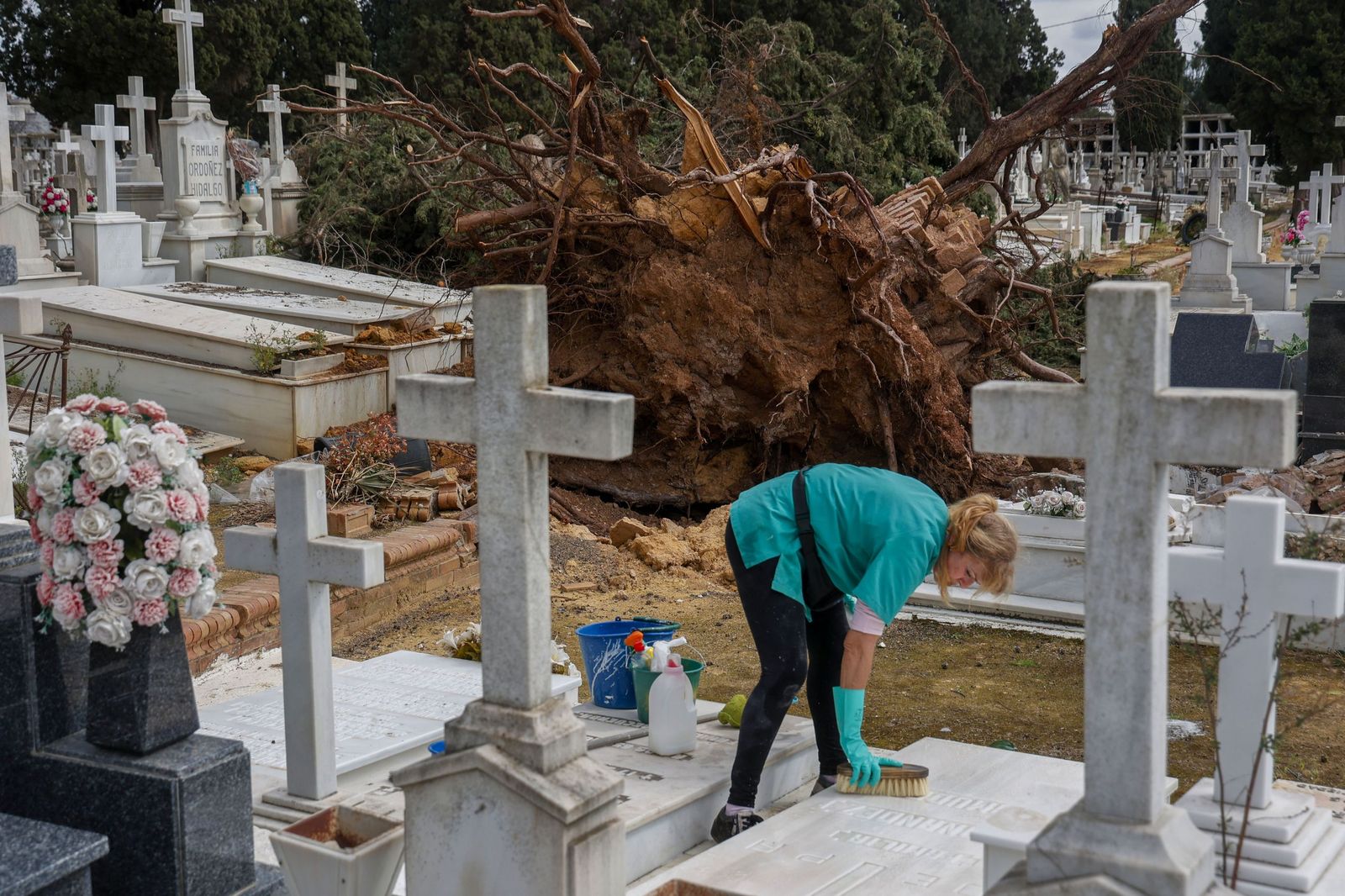 Destrozos provocados en las lápidas del cementerio por la caída de árboles