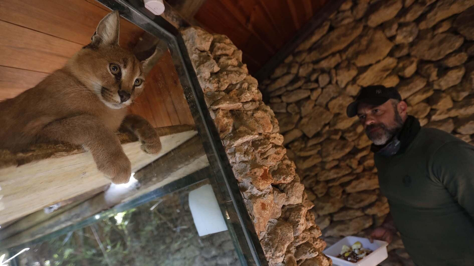 Las fotos del Zoo de Castellar de la Frontera
