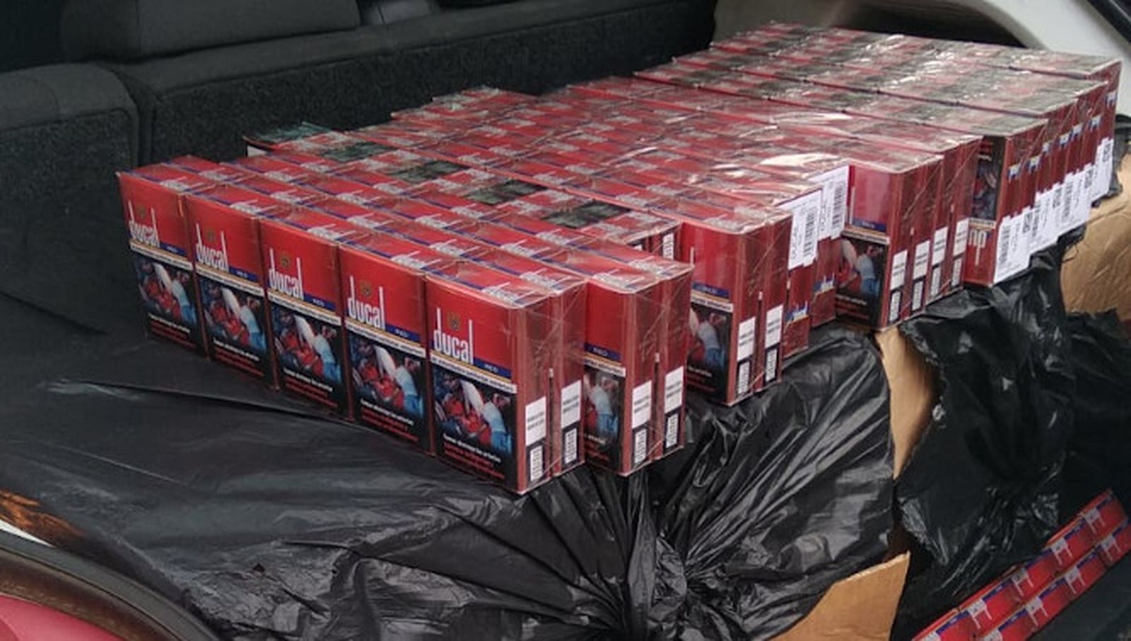 Maletero repleto de tabaco de contrabando en uno de los vehículos interceptados.