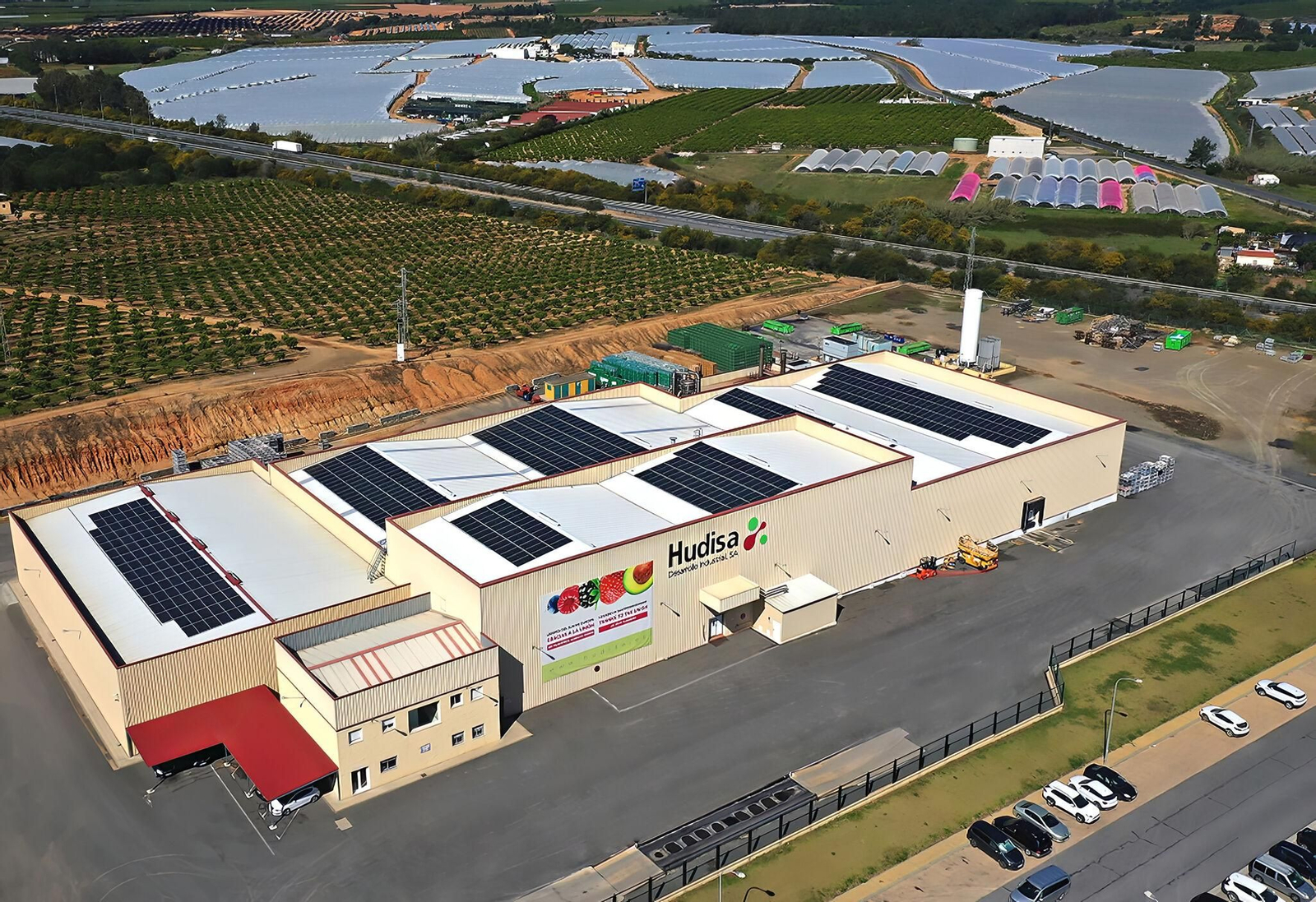 La compañía procesa más de 20 millones de kilos de frutos rojos al año