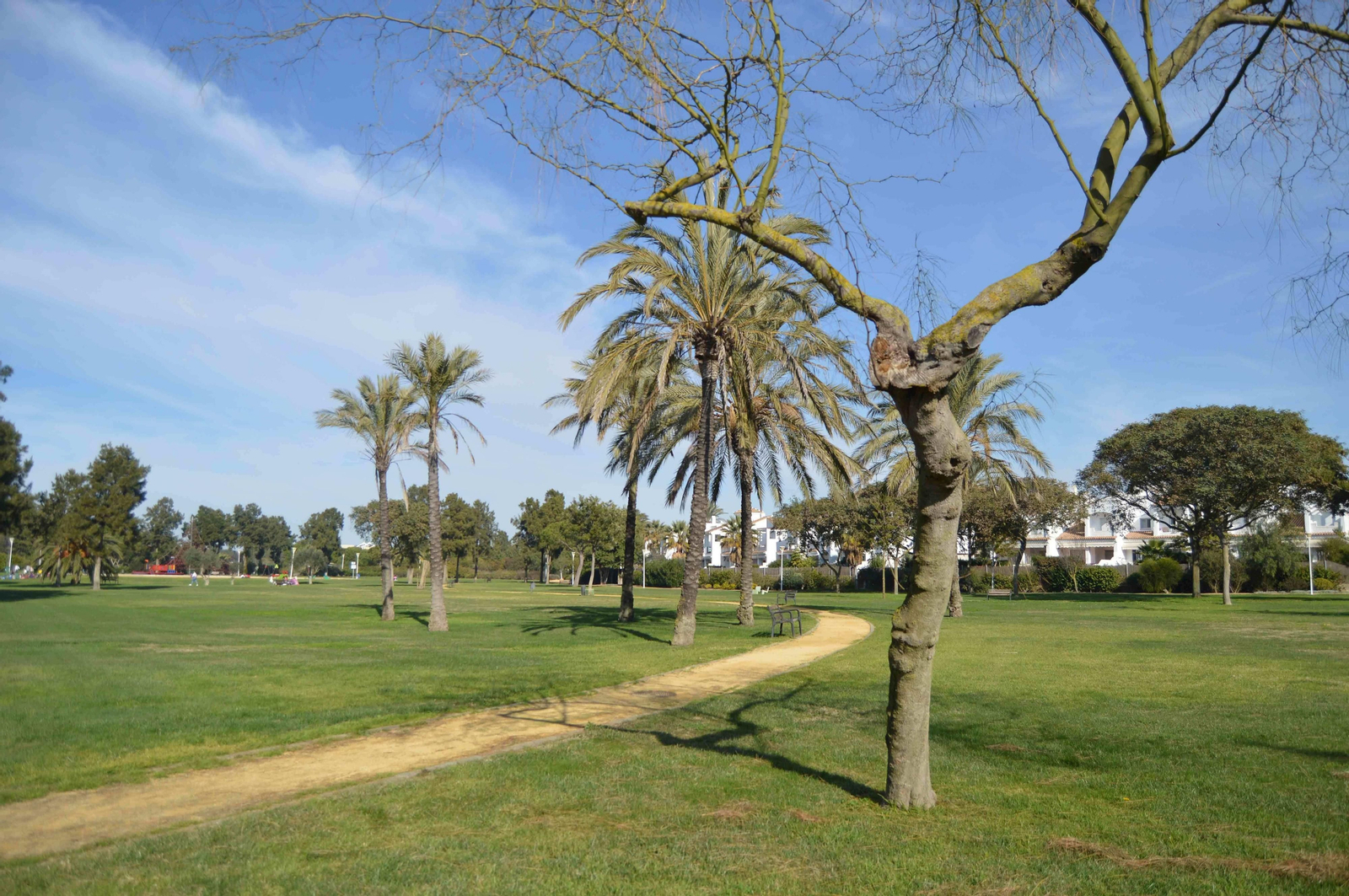 La ubicación elegida para el parque acuático son dos parcelas aledañas al hotel Alegria Costa Ballena.