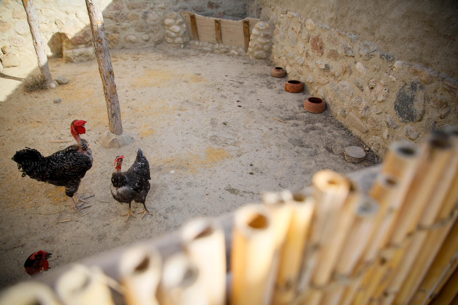 Así se ha vivido la segunda recreación histórica de la cultura argárica en Antas