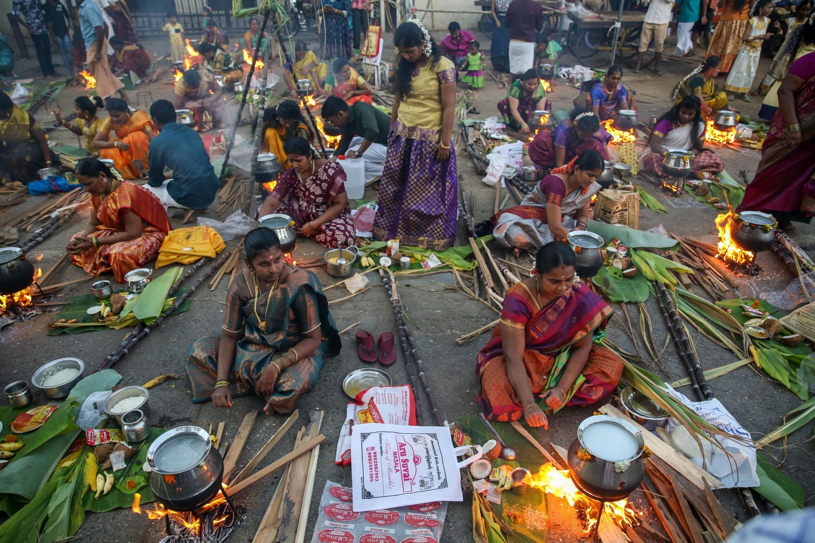 Las preciosas imágenes del Festival Thai Pongal en India