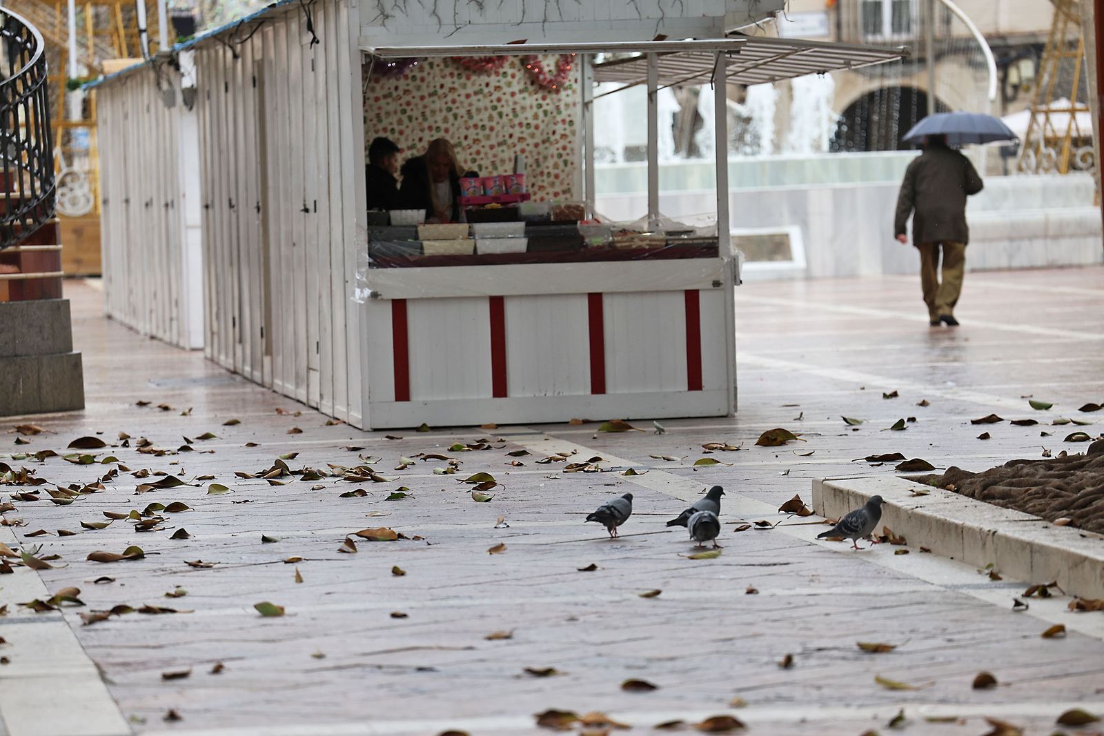 Las calles de la ciudad se inundan de paraguas en la invernal mañana de sábado