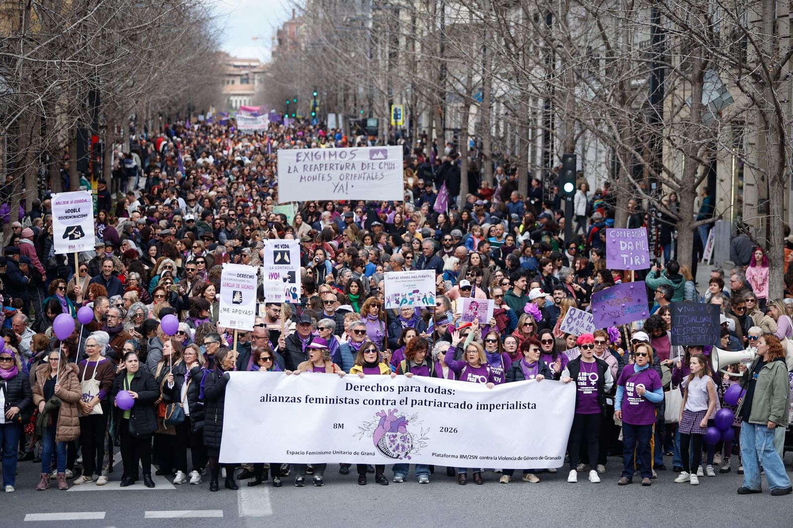 La manifestación del 8-M recorre las calles del Centro de Granada