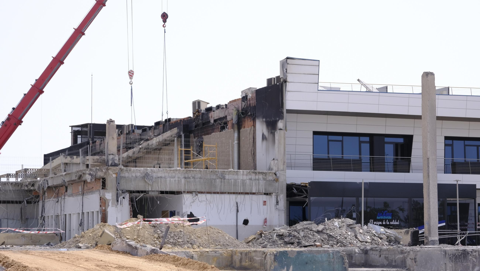 Mabe Hortofrutícola, un gigante que renace de sus cenizas, en imágenes