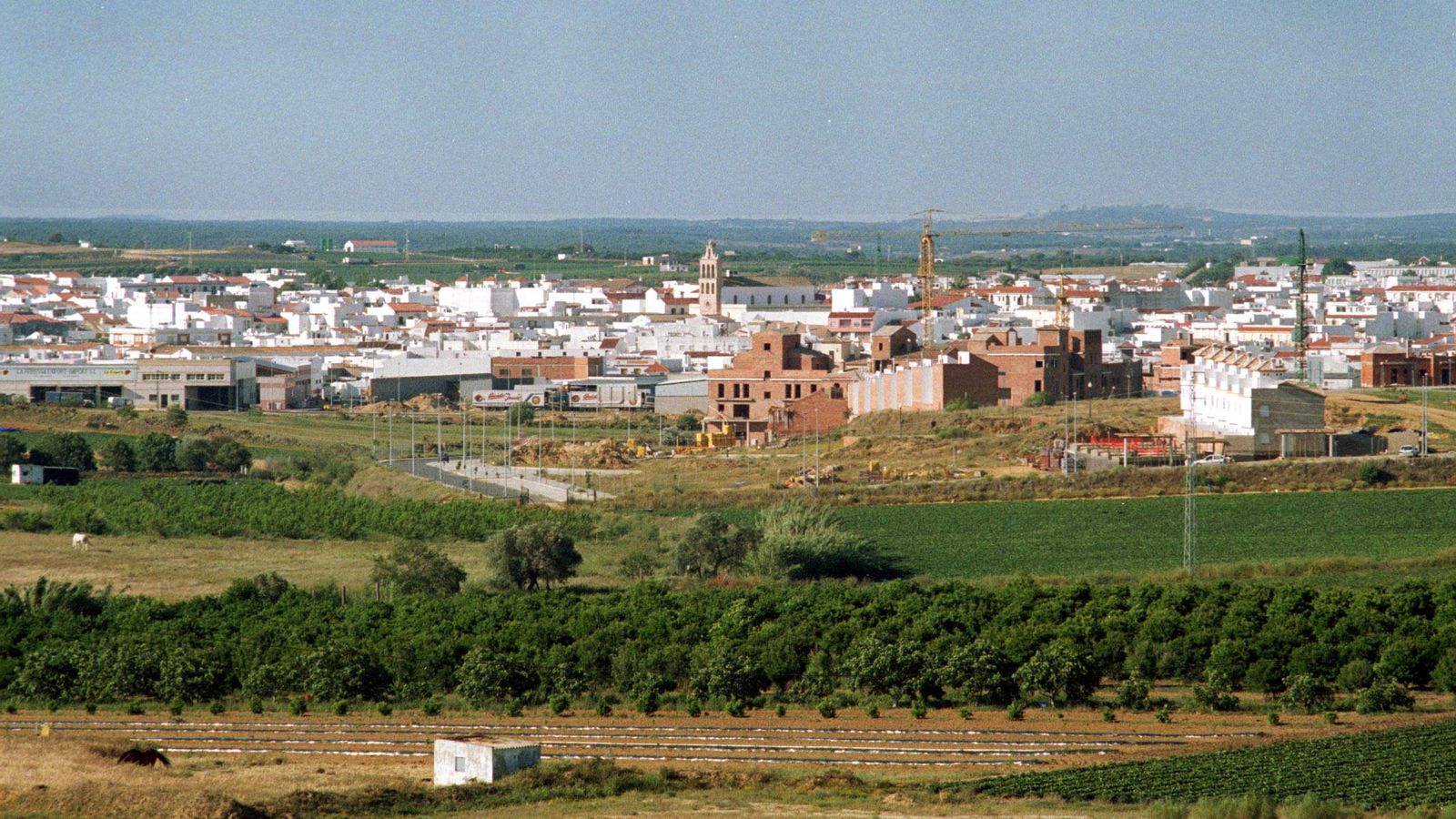Panorámica de parte del pueblo de Lepe