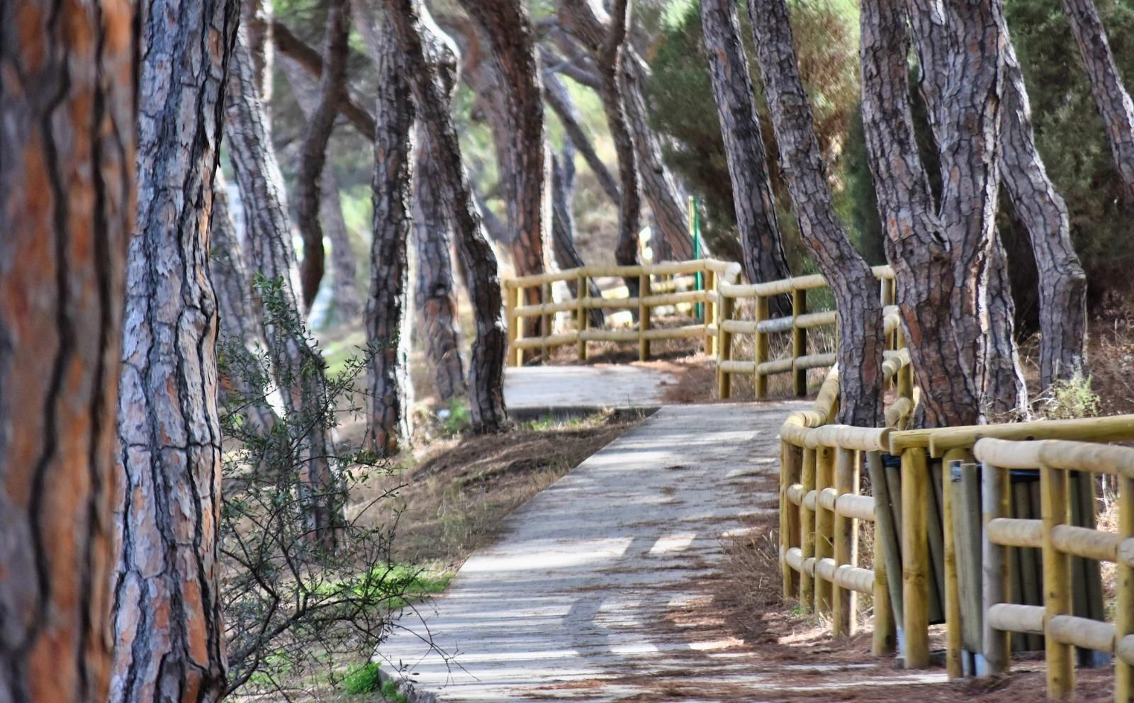 Este sendero de Punta Umbría ha vuelto a ser premiado con el distintivo 'Sendero Azul'