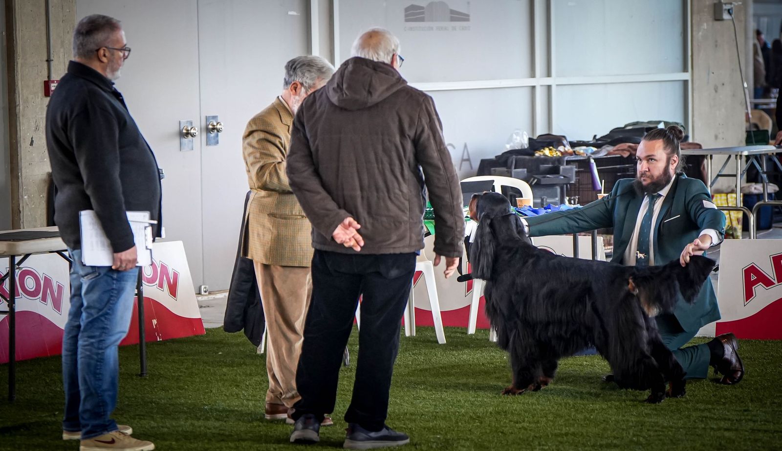 Espectacular exposición canina en Ifeca Jerez, en imágenes