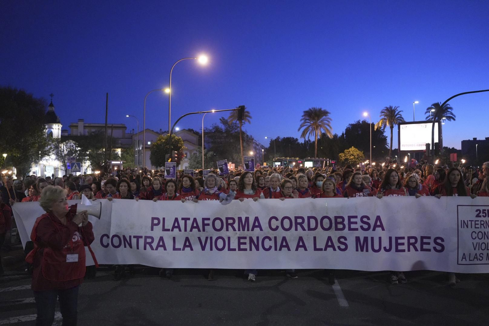 La manifestación en Córdoba contra la violencia de género, en fotografías