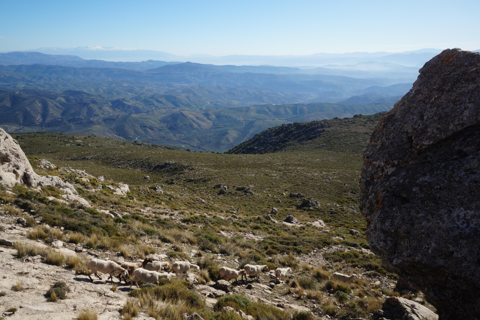 Un recorrido en fotografías de la subida a la Tiñosa, el pico más alto de Córdoba
