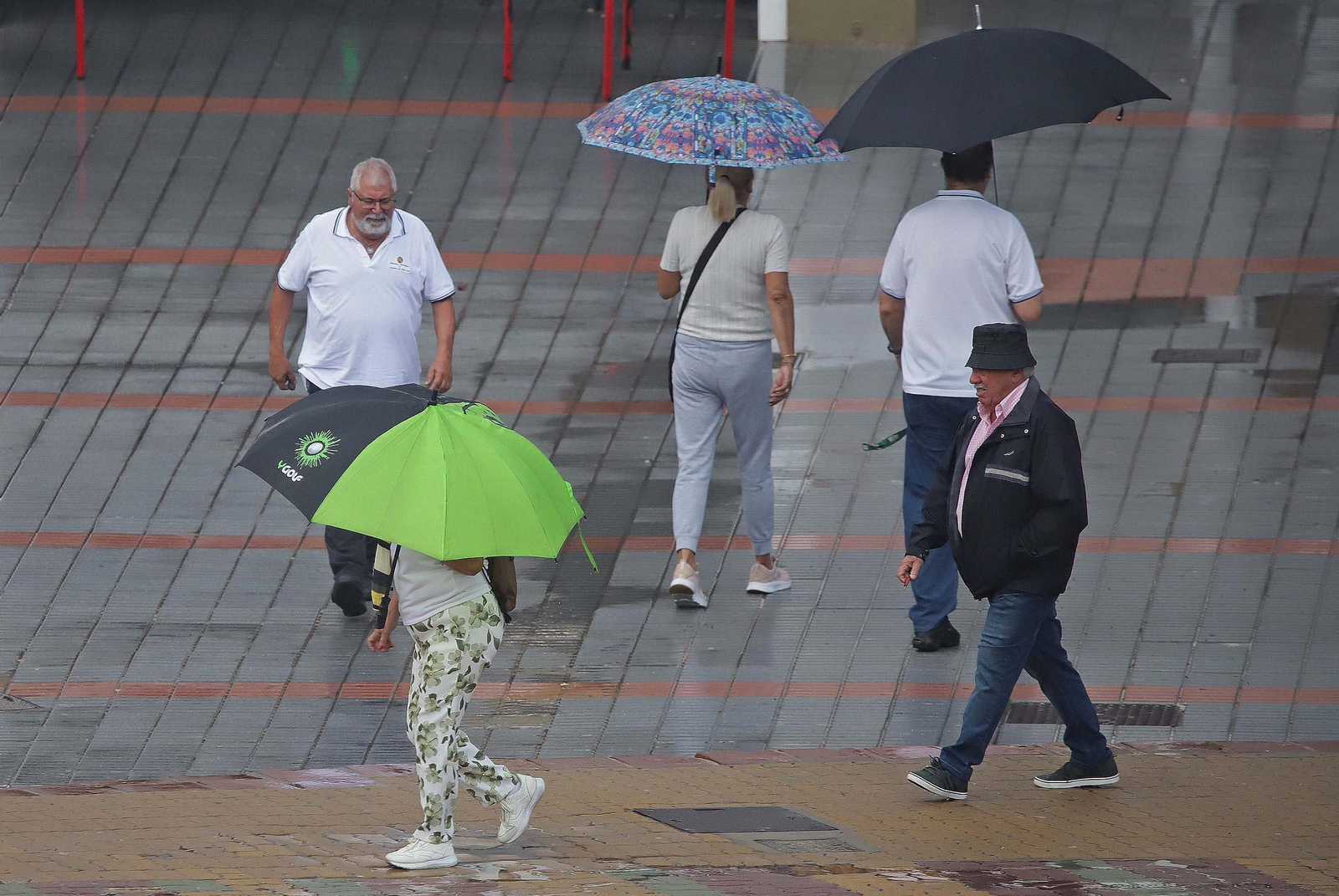 Las primeras lluvias de otoño, en imágenes