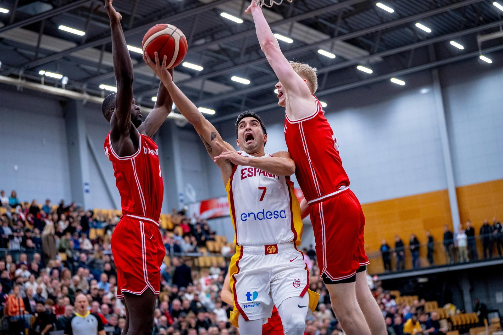 Las mejores fotos del Dinamarca-España de baloncesto