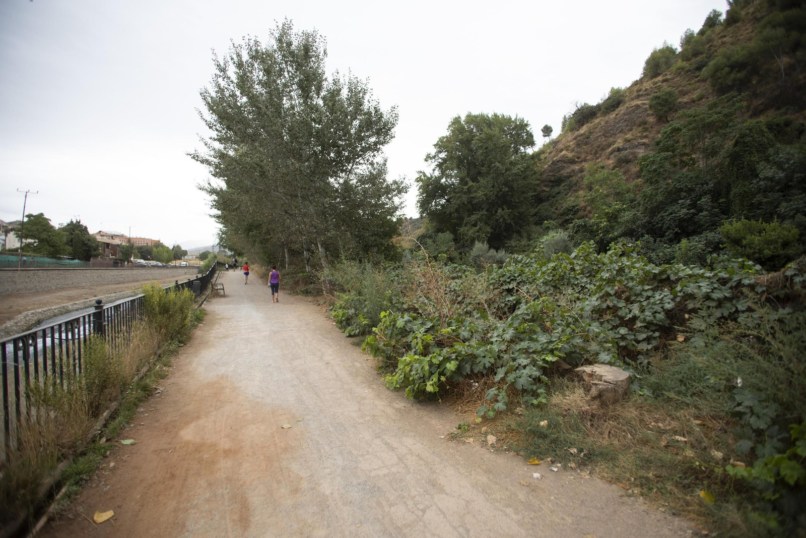 Ruta del Colesterol en Granada: cauces de los ríos Genil y Monachil