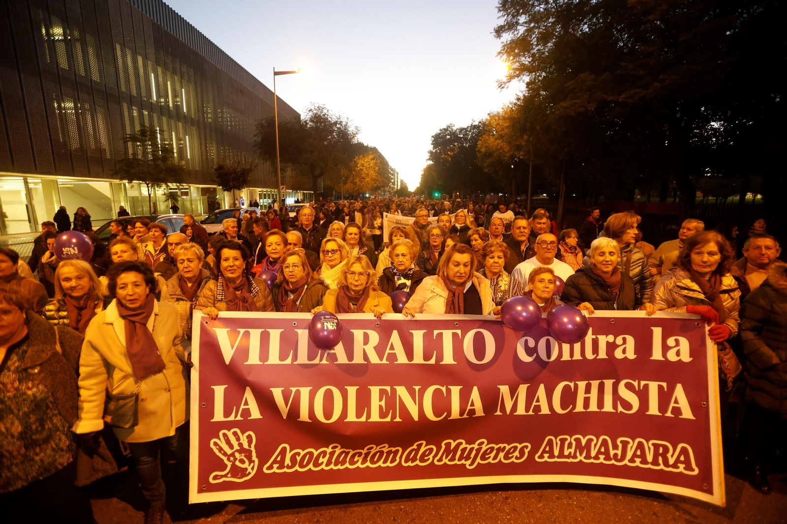 La manifestación del 25N en Córdoba