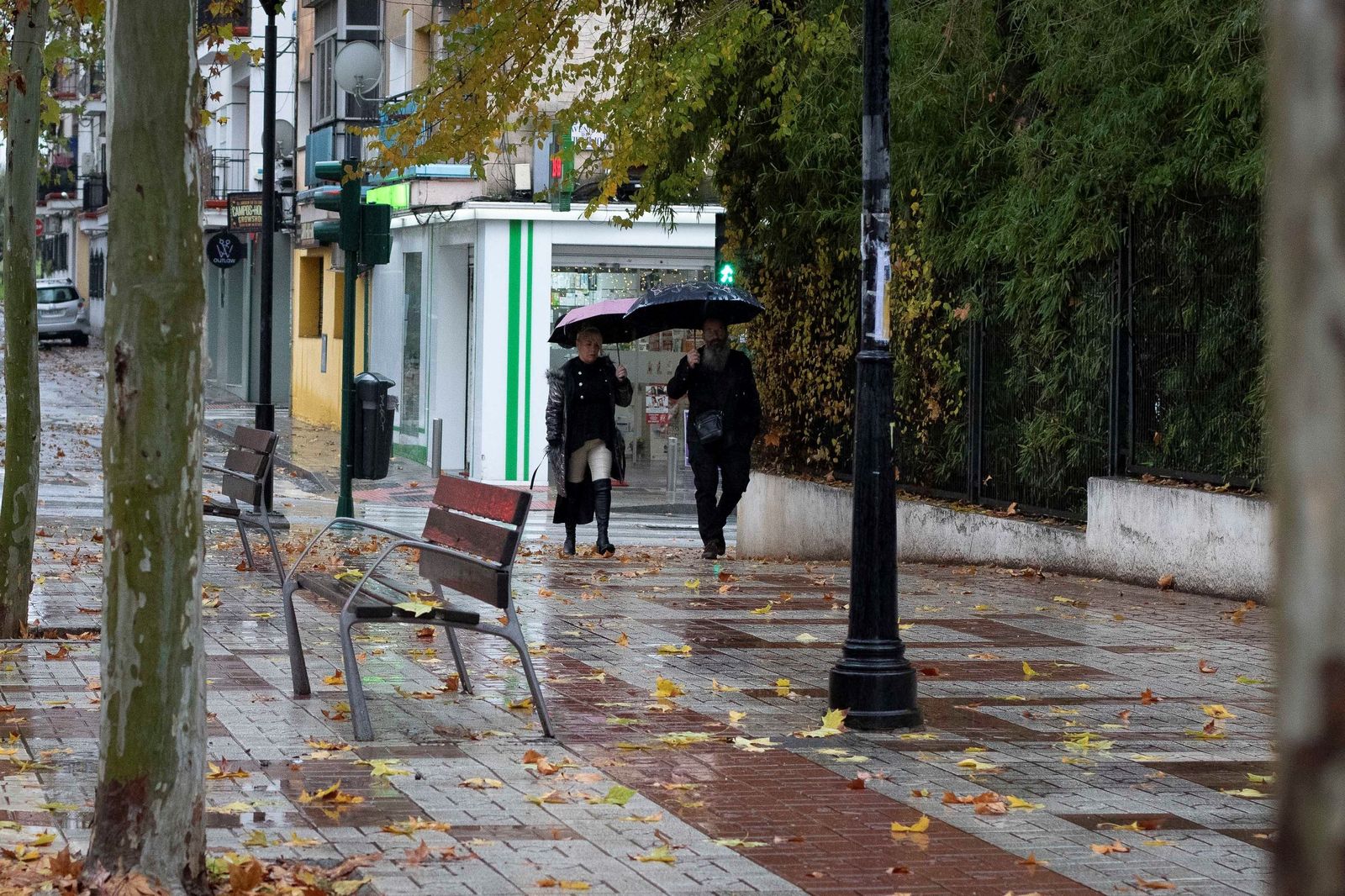 Granada bajo el temporal: imágenes de la ciudad durante la alerta naranja